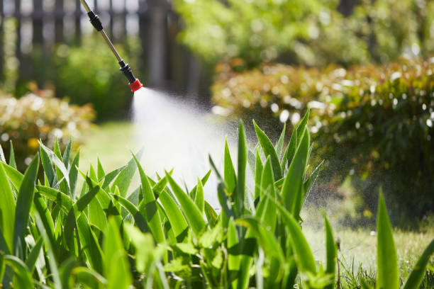 24/7 Emergency Wasp Removal experts in Picayune, MS