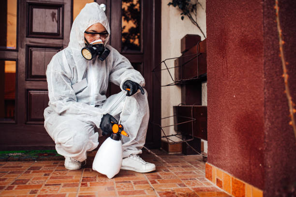Reliable Wasp Removal contractor in Picayune, MS by Show Me Pest Control