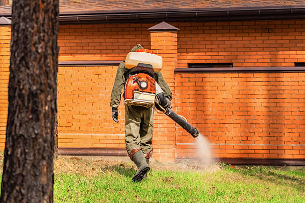 Top rated local Wasp Removal specialists in Picayune, MS